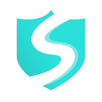 seeyou 西柚加速器